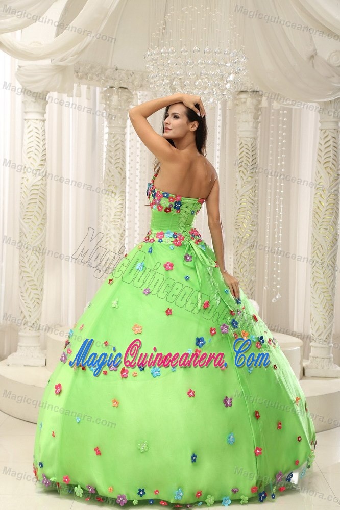 Spring Green Sweet 16 Dress with Multi-color Hand Made Flowers and Beading