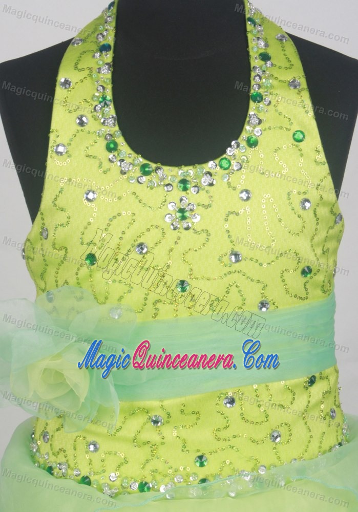 Sequins and Beading Decorate Halter Flower Girl Pageant Dress