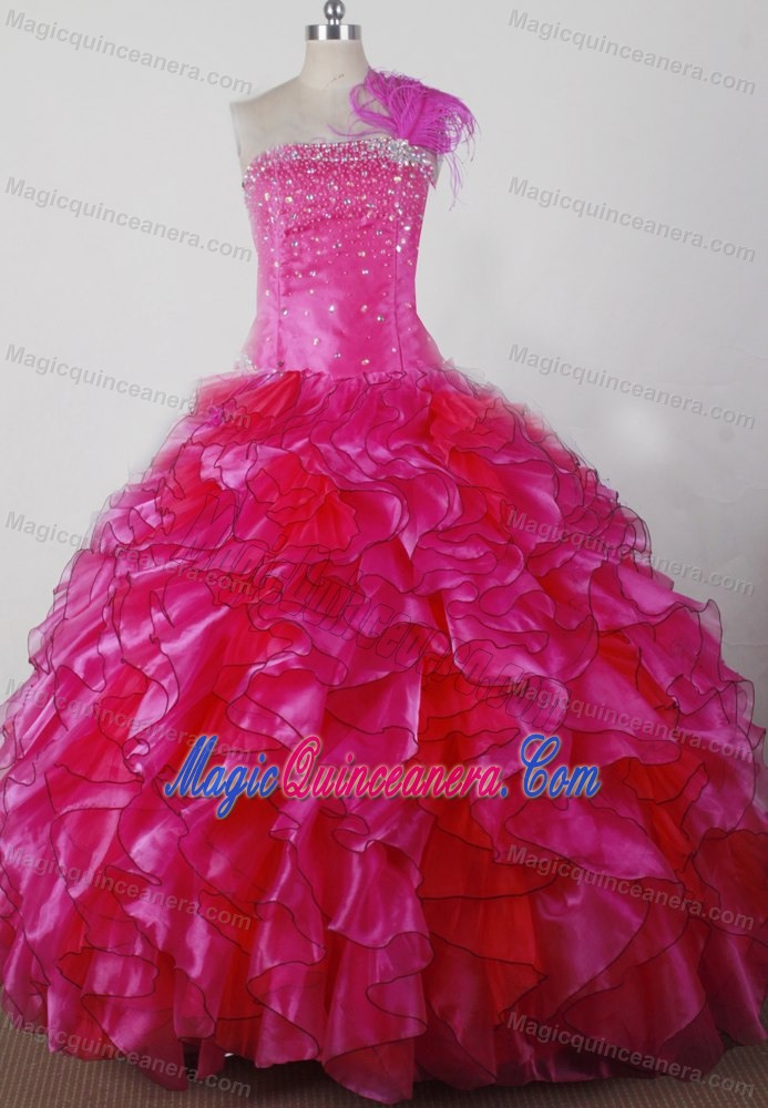 Michigan Feathered One Shoulder Ruffles Pageant Dress for Girls