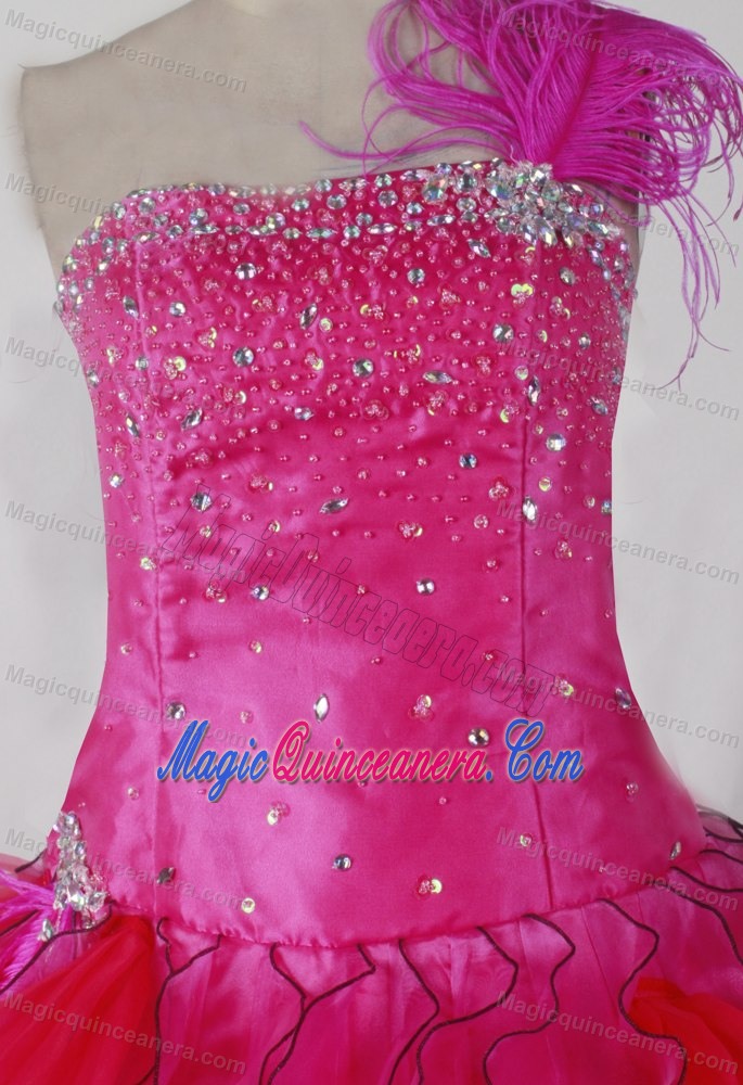 Michigan Feathered One Shoulder Ruffles Pageant Dress for Girls