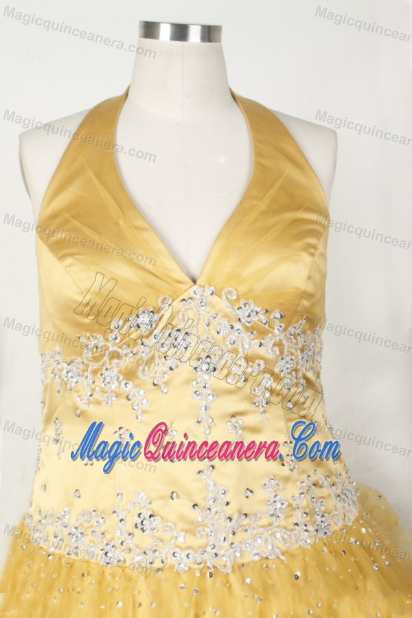 Gold Halter Appliques and Beading Organza Little Girl Pageant Dress