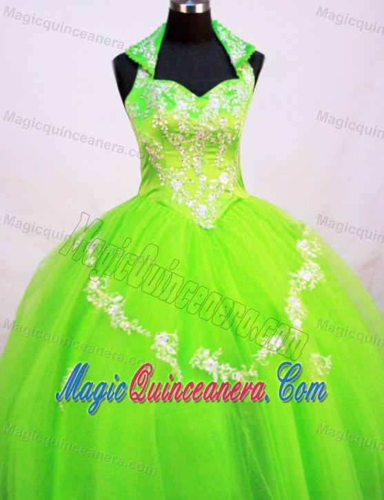 Halter Top Little Girl Pageant Dress in Spring Green With Appliques