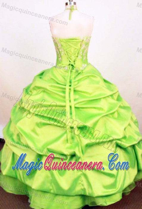 Spring Green Halter Appliqued Little Girl Pageant Dress Handmade Flower