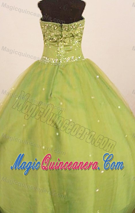 2013 Straps Little Girl Pageant Dress in Olive Green with Appliques
