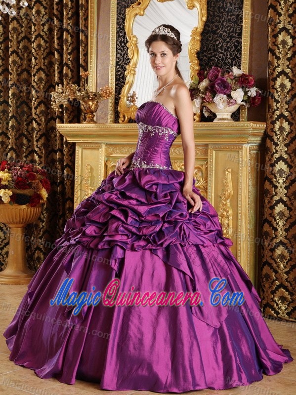 Purple Taffeta Quinceanera Gown Dresses with Appliques Pick ups