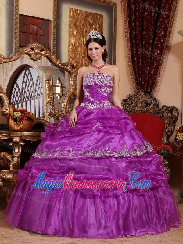 Fuchsia Strapless Organza Appliques Dresses for Quinceaneras On Plus Size