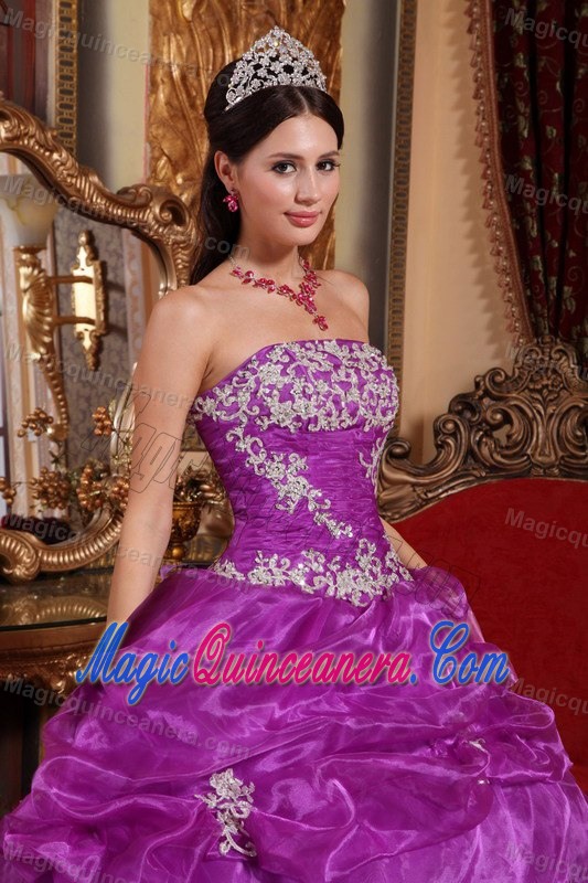 Fuchsia Strapless Organza Appliques Dresses for Quinceaneras On Plus Size