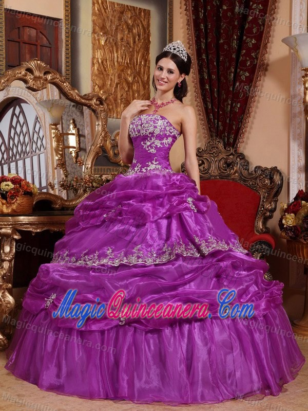 Fuchsia Strapless Organza Appliques Dresses for Quinceaneras On Plus Size