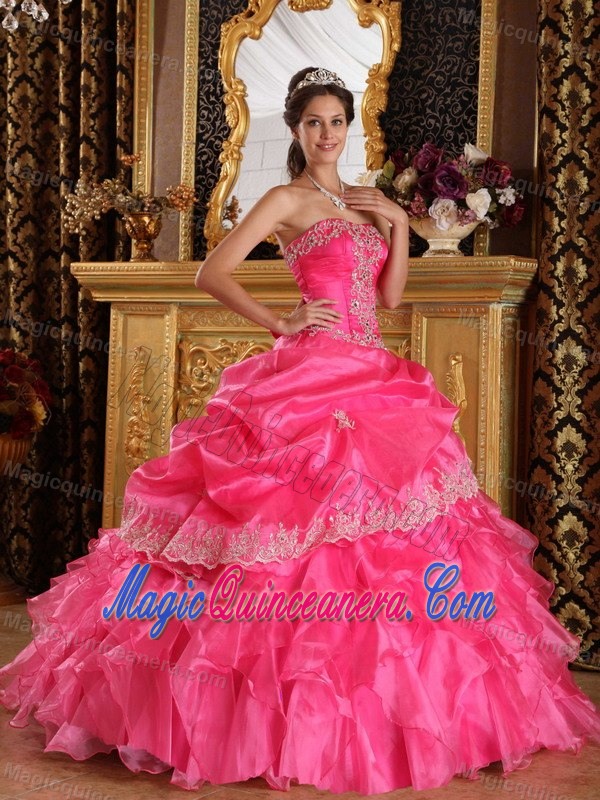 Appliques Accent Hot Pink Organza Sweet 15 Dresses of Floor Length