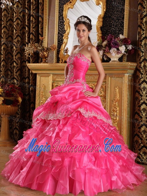 Appliques Accent Hot Pink Organza Sweet 15 Dresses of Floor Length