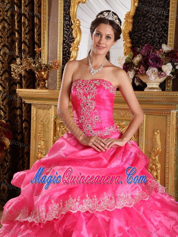 Appliques Accent Hot Pink Organza Sweet 15 Dresses of Floor Length