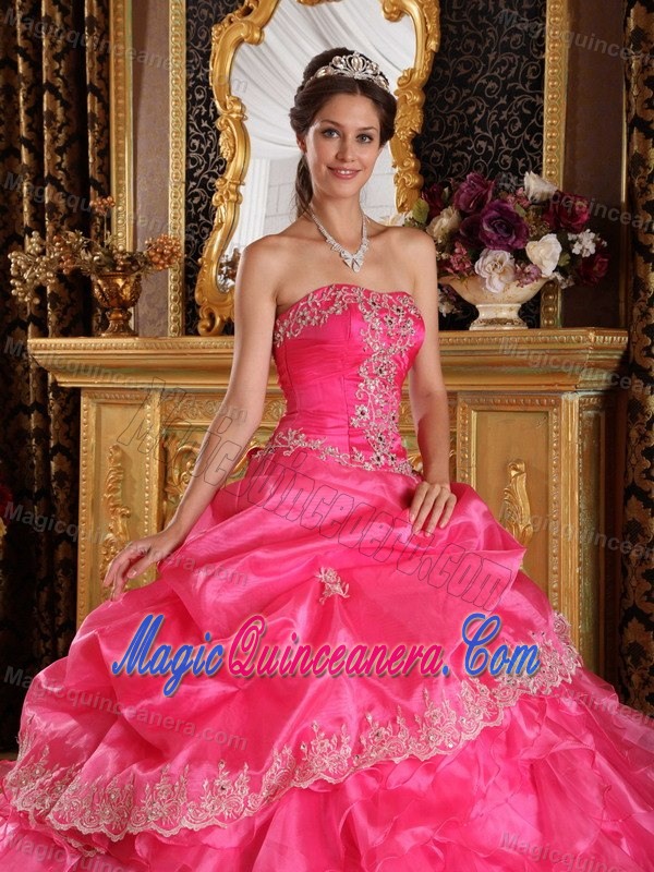 Appliques Accent Hot Pink Organza Sweet 15 Dresses of Floor Length