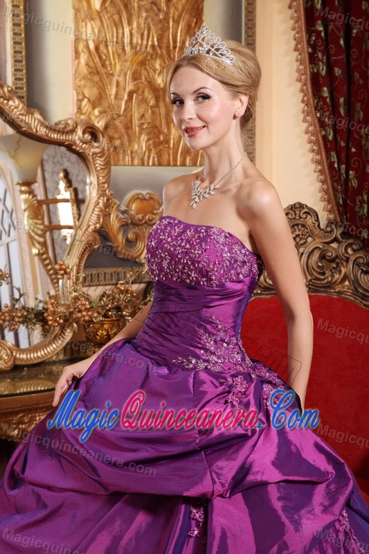 Eggplant Purple Taffeta Quinceanera Gown with Pick ups and Beading