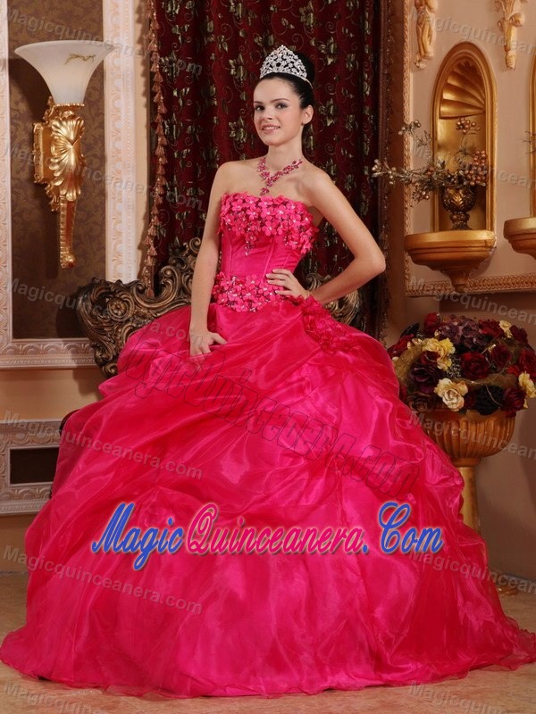Modernistic Hot Pink Flowers Quinceanera Dress Jacaltenango