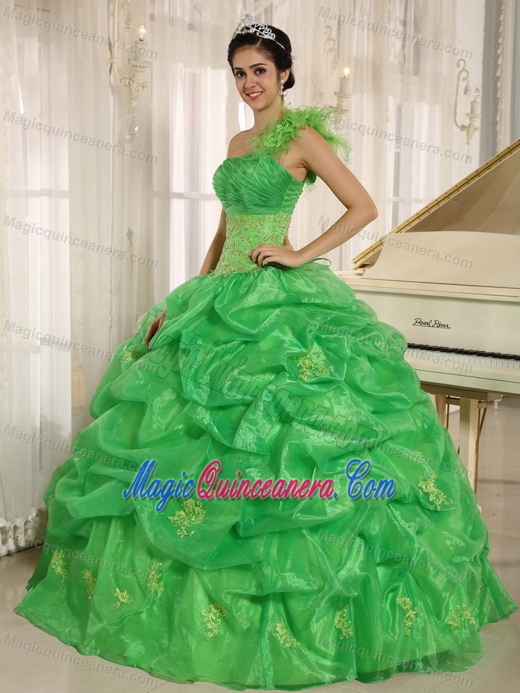 one Shoulder Pick Ups Spring Green Quinceanera Gown Dresses
