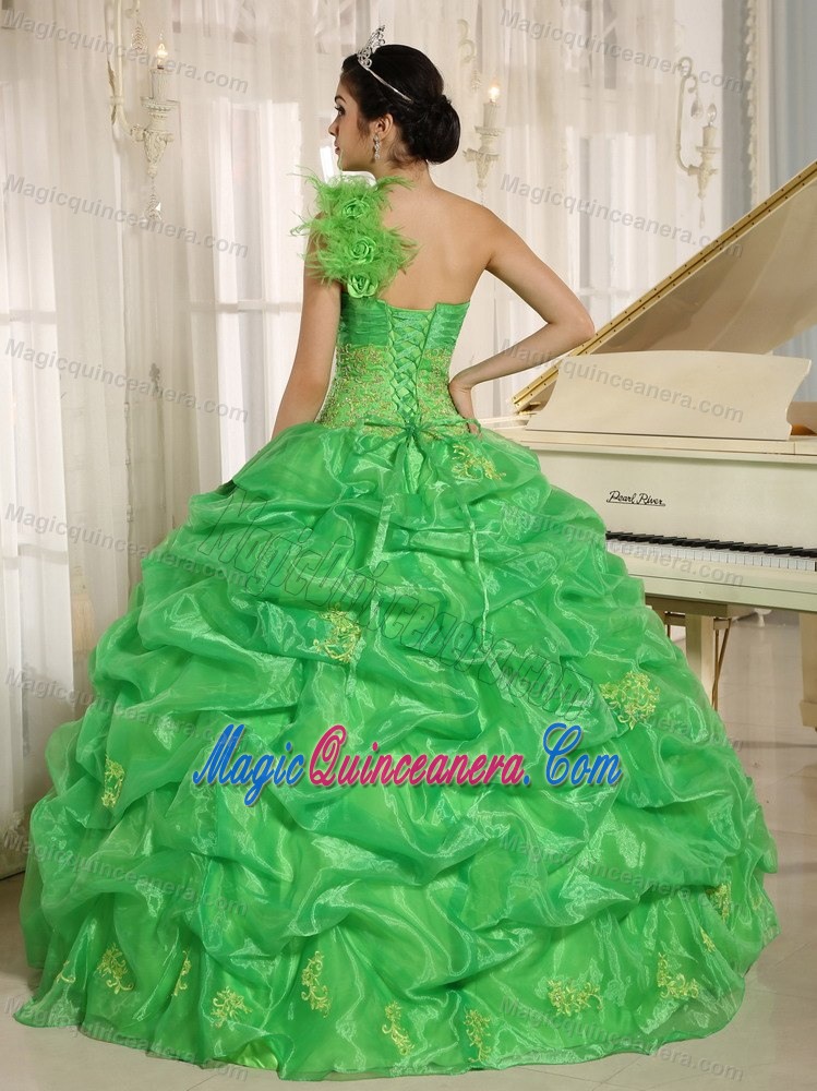 one Shoulder Pick Ups Spring Green Quinceanera Gown Dresses