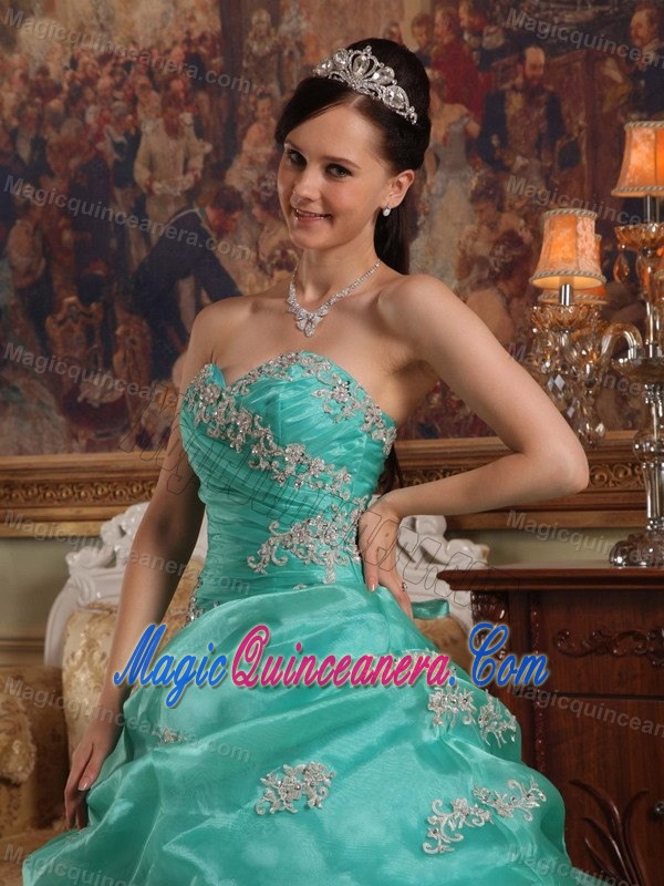 Appliques and Pick ups Accent Apple Green Organza Quince Dresses