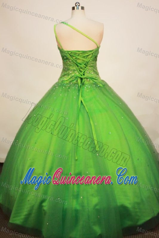 Tulle Spring Green One Shoulder Quinceanera Dress Sequined