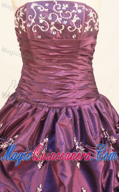 Pick-ups Ruched Purple Taffeta Quinceanera Dress in Prince George