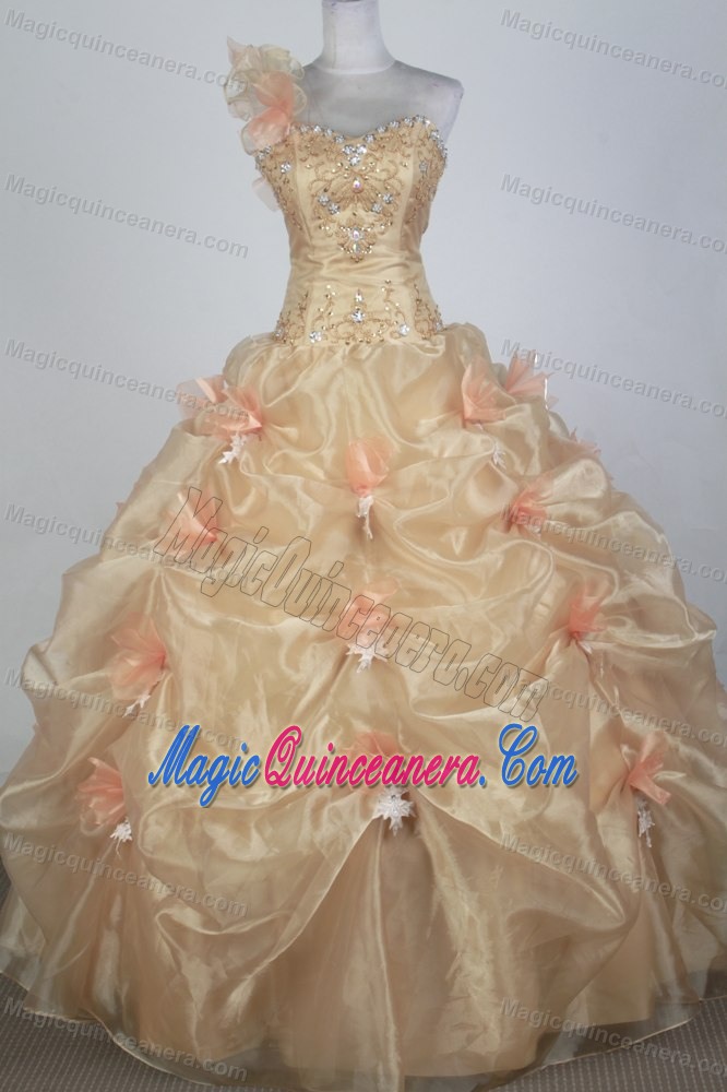 One Shoulder Pick-ups Beaded Appliques Champagne Quinceanera Dress