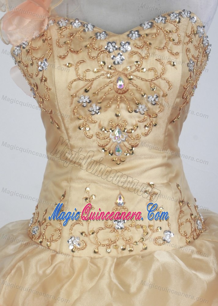 One Shoulder Pick-ups Beaded Appliques Champagne Quinceanera Dress