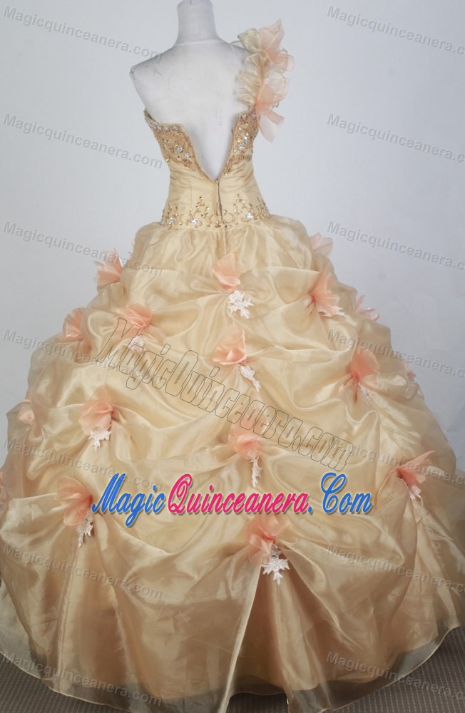 One Shoulder Pick-ups Beaded Appliques Champagne Quinceanera Dress