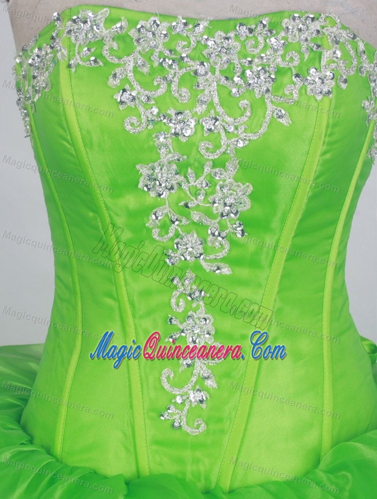 Spring Green Embroidery Organza Quinceanera Dresses with Ruffles