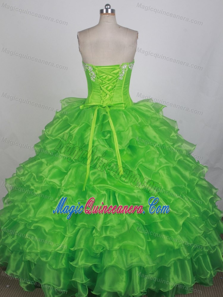 Spring Green Embroidery Organza Quinceanera Dresses with Ruffles