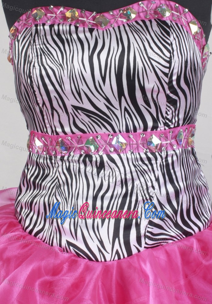 Zebra Ball Gown Strapless Ruffled Floor-length Sweet 15 Dresses