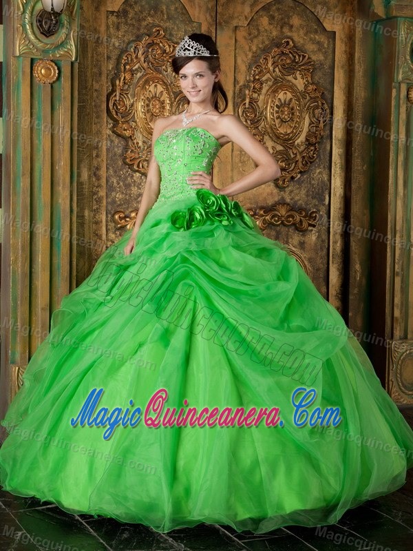 Flowers and Beading Accent Quinceanera Dresses in Spring Green