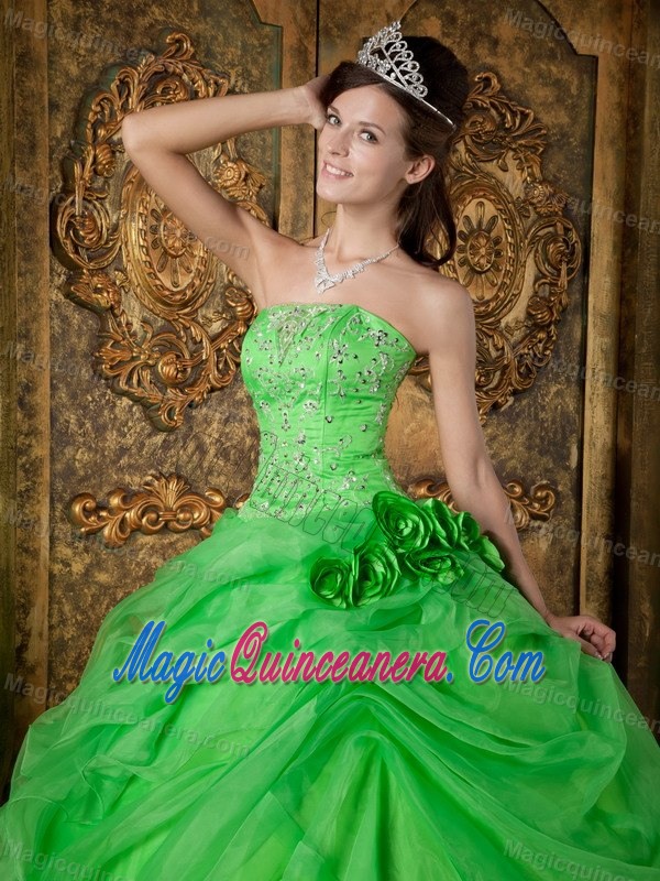 Flowers and Beading Accent Quinceanera Dresses in Spring Green