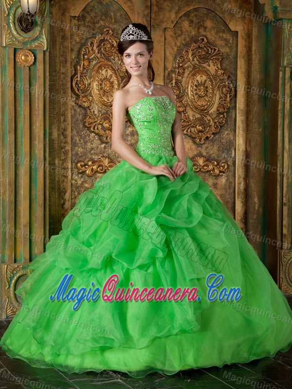 Flowers and Beading Accent Quinceanera Dresses in Spring Green