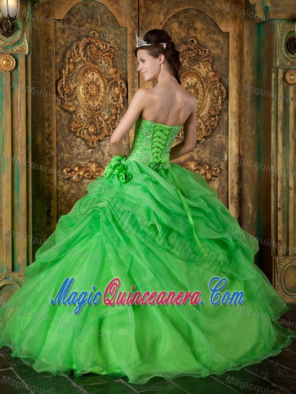 Flowers and Beading Accent Quinceanera Dresses in Spring Green