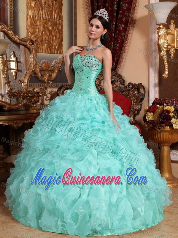 Beaded and Ruffled OrganzA Quinceanera Gown Dress of Floor Length