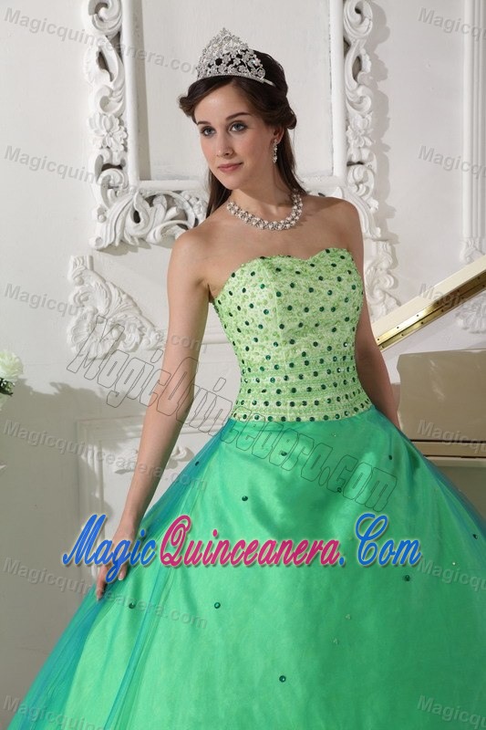 Spring Green Ball Gown Dresses for A Quince with Beading on Sale
