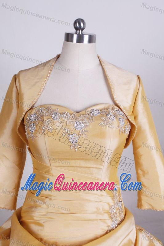 Ball Gown Beading Pick Ups Quinceanera Dress with Matching Jacket