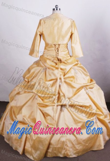 Ball Gown Beading Pick Ups Quinceanera Dress with Matching Jacket