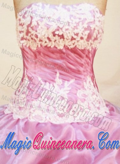 Lavender Strapless Appliques and Pick-ups Organza Quinceanera Dresses