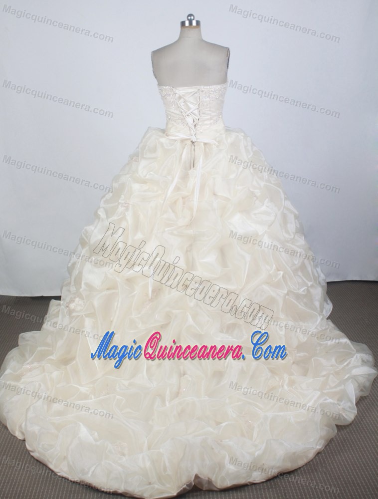 Appliques Champagne Floor-length Quinceanera Dress in Havana