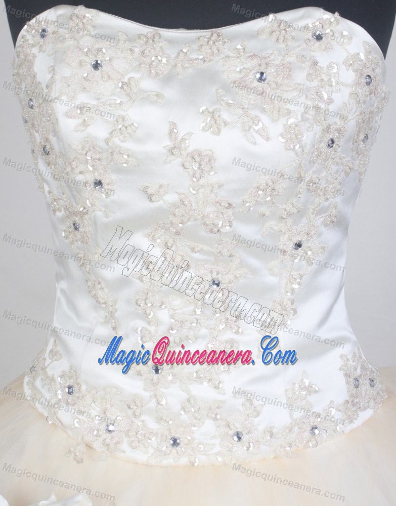 Champagne Beading Appliques and Flowers 2013 Quinceanera Dress