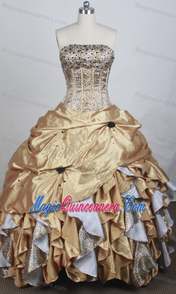 Chapel Train and Boning Details Dress for Quinceanera with Leopard