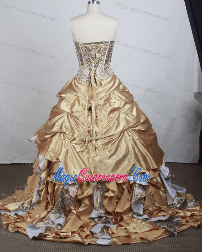 Chapel Train and Boning Details Dress for Quinceanera with Leopard