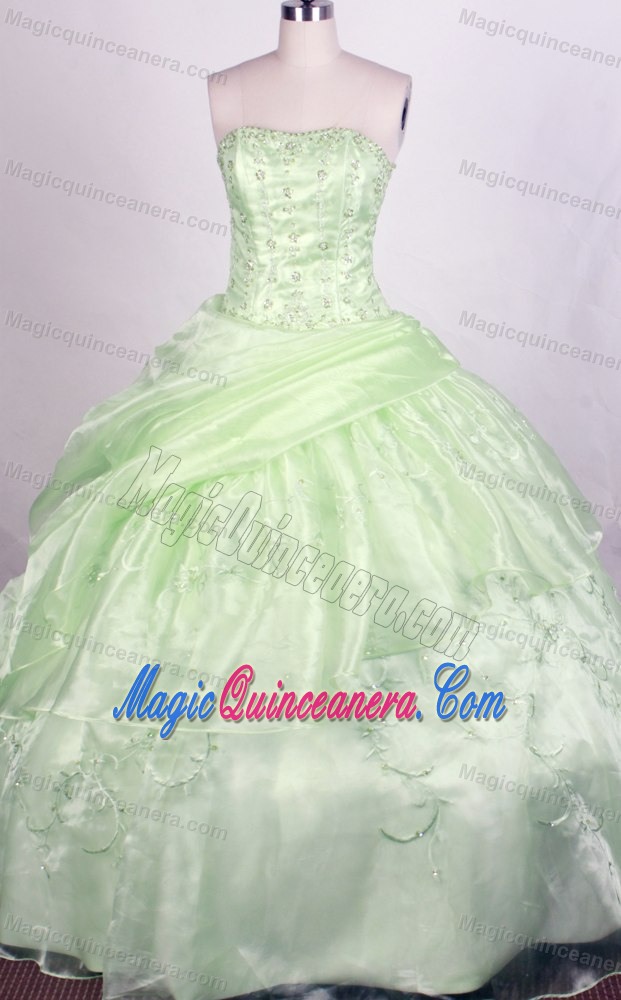 Light Green Dresses For A Quinceanera Embellished Heavy Appliques