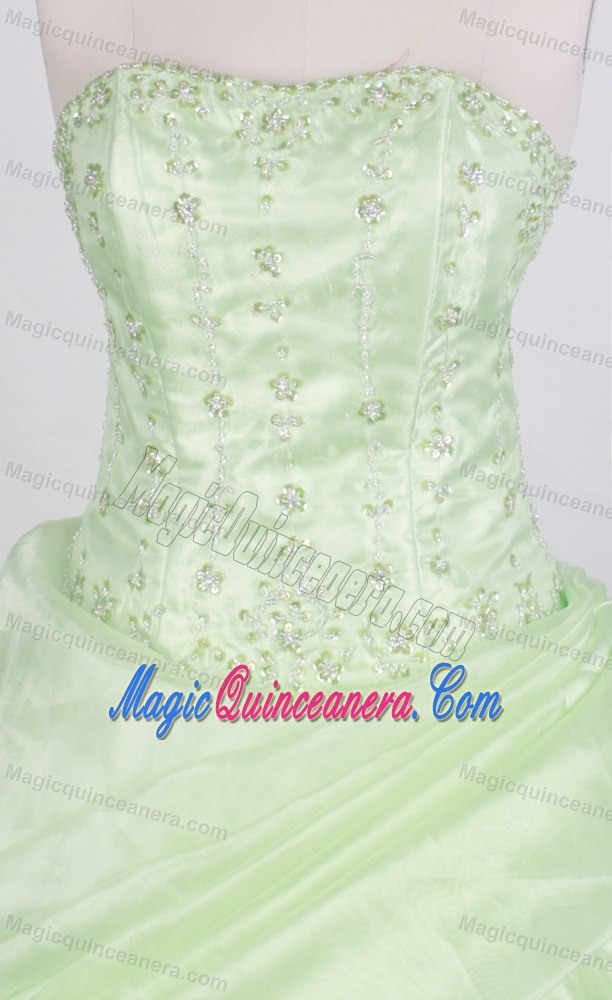 Light Green Dresses For A Quinceanera Embellished Heavy Appliques
