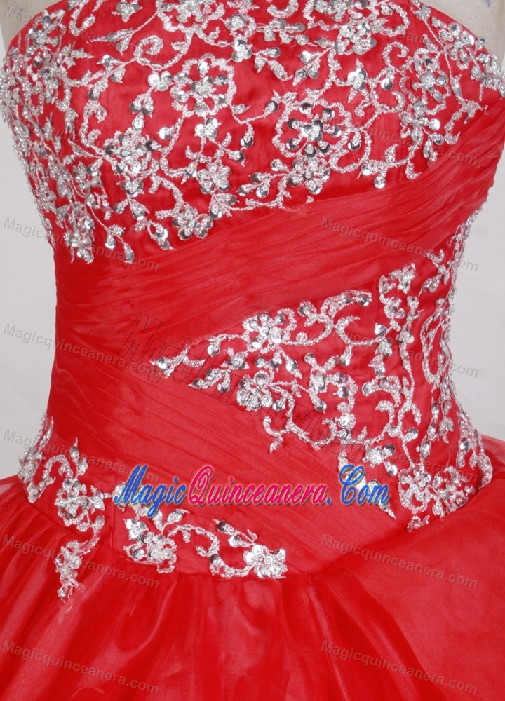 Red Sweet Sixteen Dresses with Handle Flowers and White Appliques