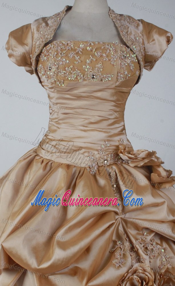 Ruching and Handle Flowers Quinceanera Gown Dresses in Gold