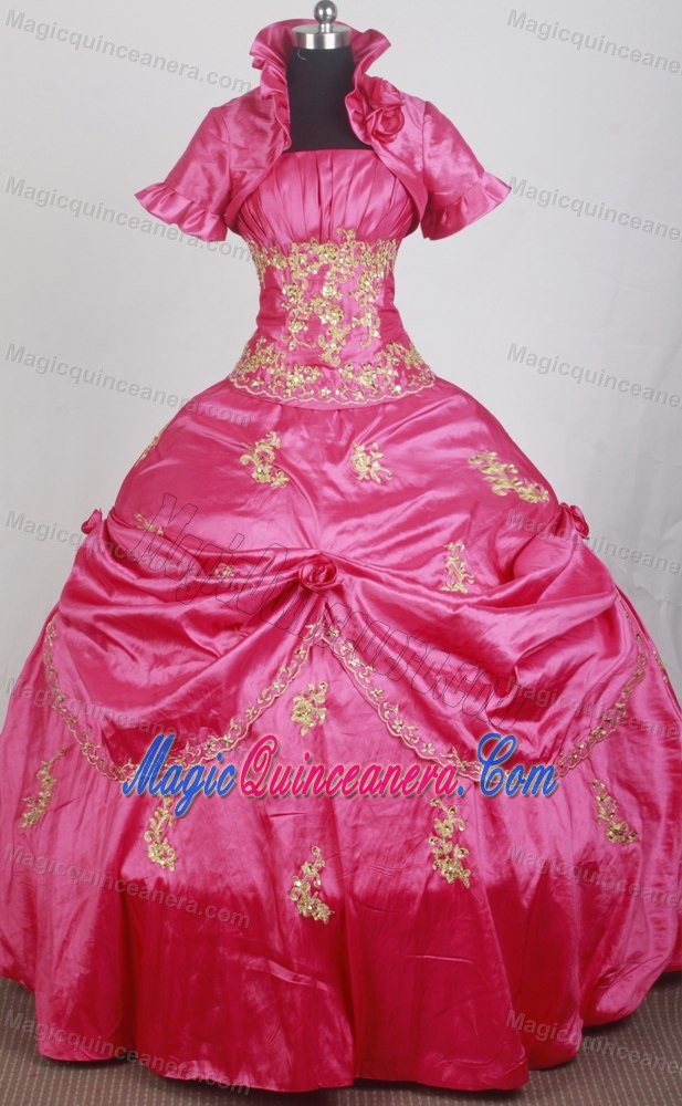 Matching Jacket with High Neck for Quince Dress with Gold Appliques