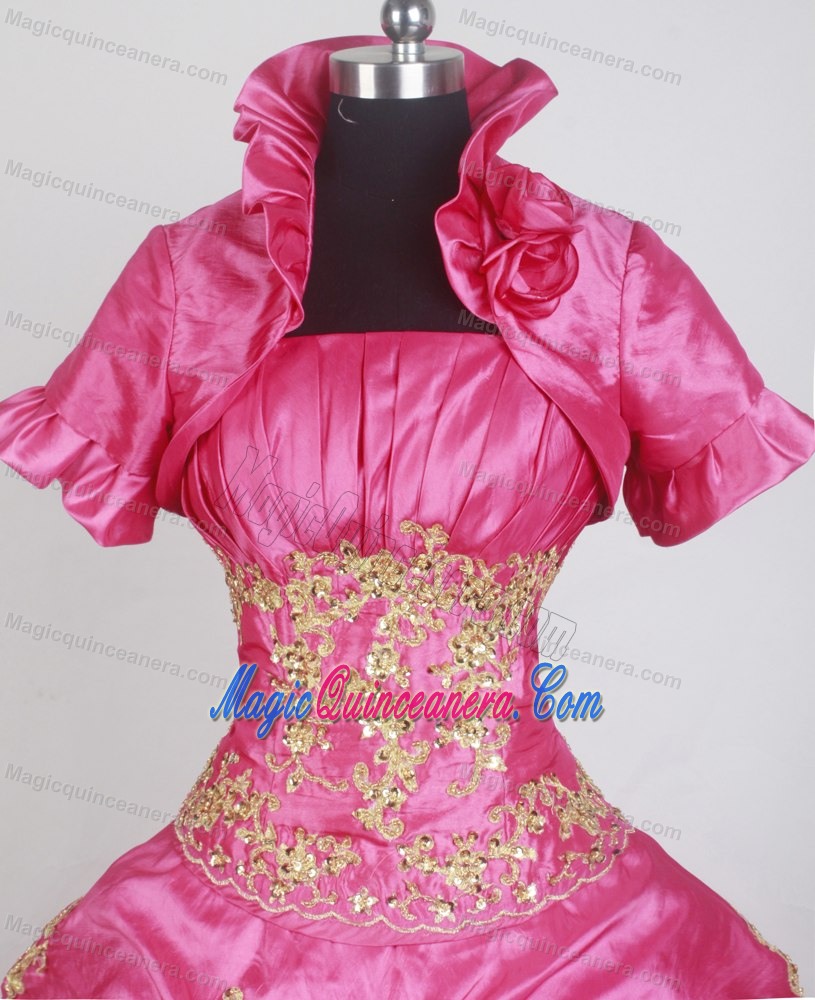 Matching Jacket with High Neck for Quince Dress with Gold Appliques