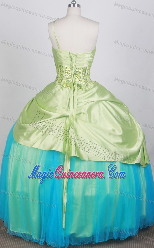 Floral One Shoulder and Boning Quinceanera Dresses in Two Tone