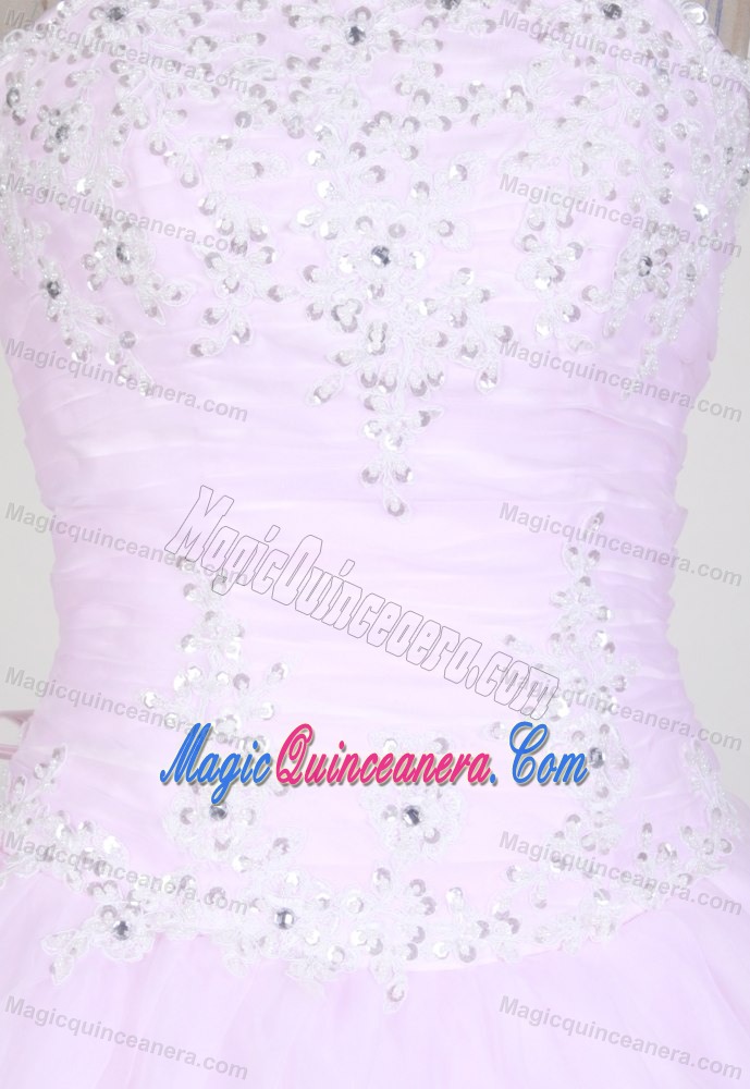 2013 Classical Light Pink Sweet 15 Dress in New Jersey